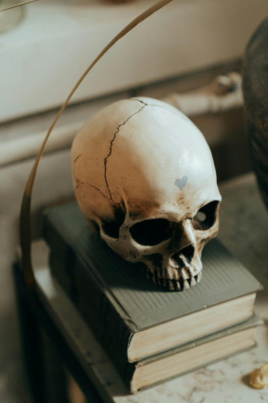 Every Bit of Learning is a Little Death: The Transformative Nature of Change