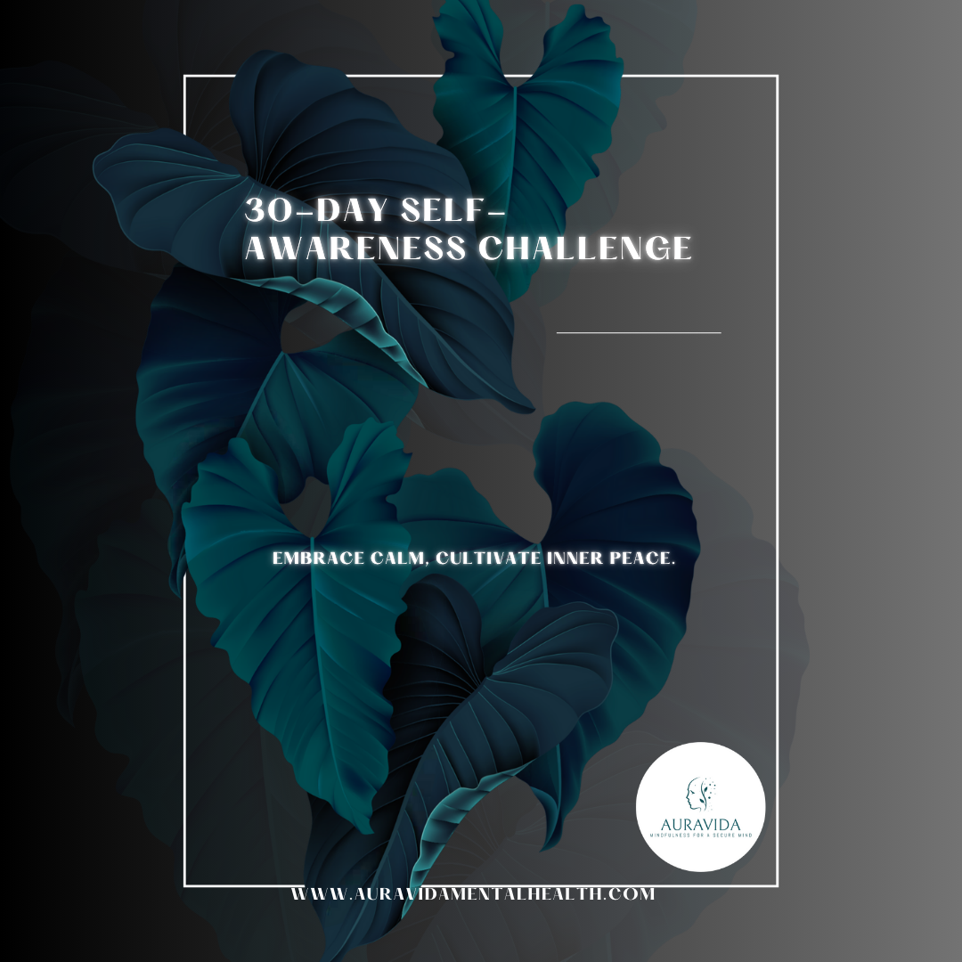 30 Day Mindfulness Challenge Bundle